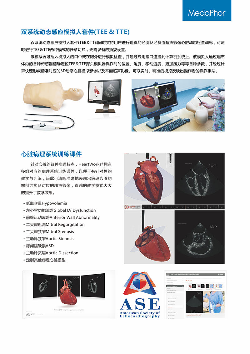 HEARTWORKS-TEE、TTE心动超声检查模拟器05.jpg