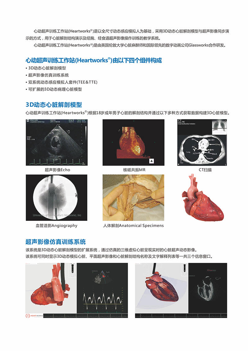 HEARTWORKS-TEE、TTE心动超声检查模拟器02.jpg