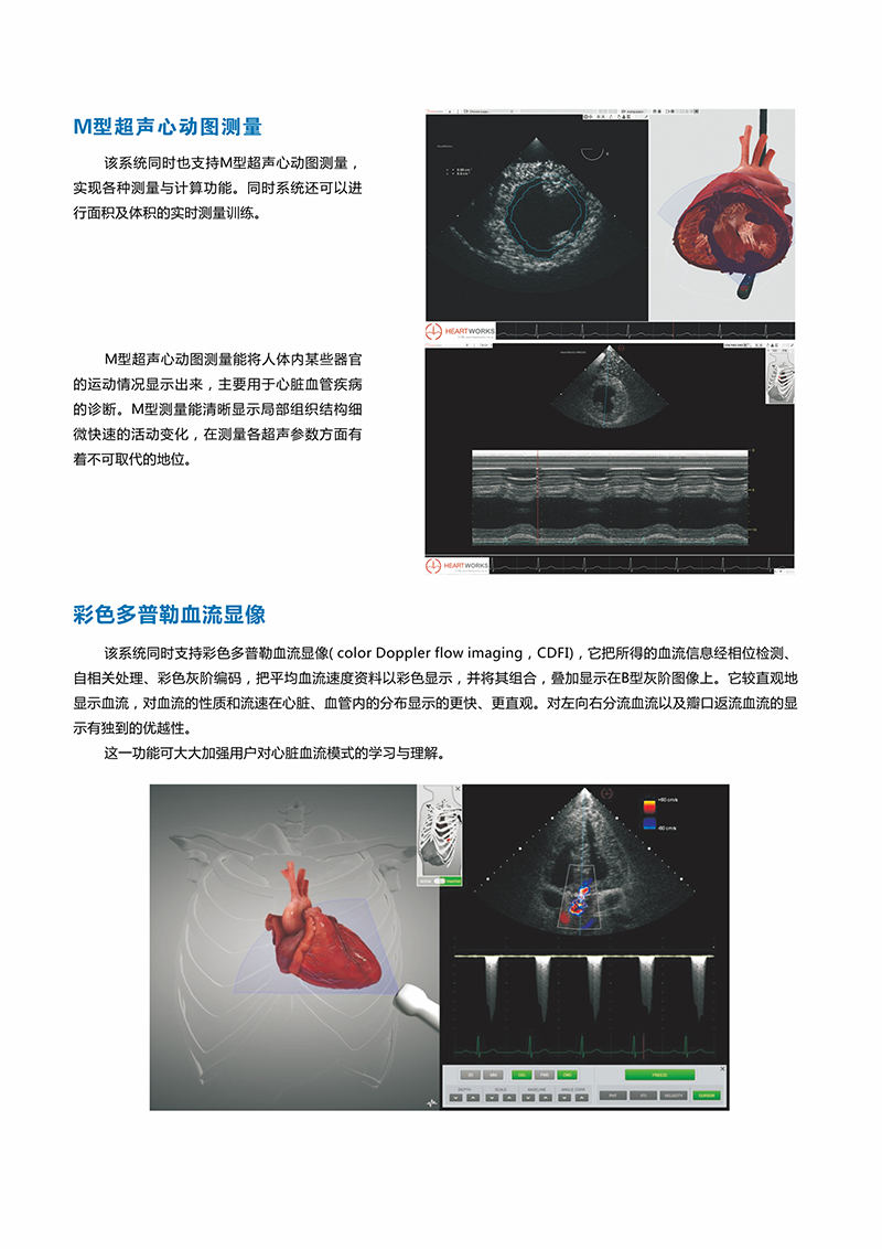 HEARTWORKS-TEE、TTE心动超声检查模拟器04.jpg