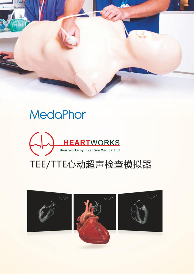 HEARTWORKS-TEE、TTE心动超声检查模拟器01.jpg