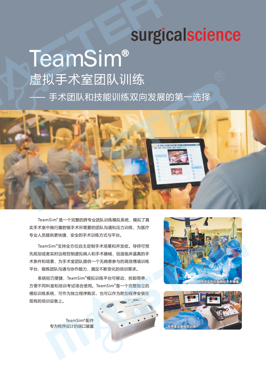 TeamSim彩页（官网上传用）-1.jpg